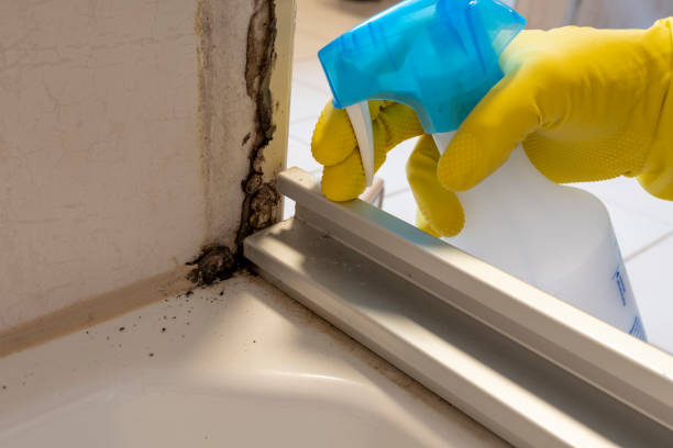 Best Mold Odor Removal Services  in Pawnee, OK